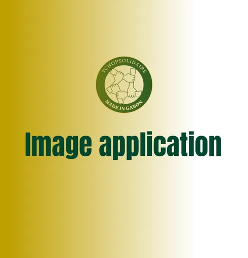 Image application (1)